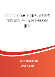 2008-2010年中国己内酰胺专项调查及行业发展分析预测报告