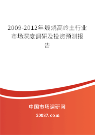 2009-2012年煅烧高岭土行业市场深度调研及投资预测报告