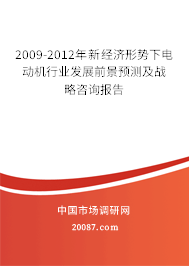 2009-2012年新经济形势下电动机行业发展前景预测及战略咨询报告