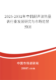2025-2031年中国超声波热量表行业发展研究与市场前景预测