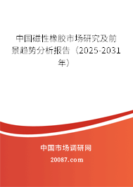 中国磁性橡胶市场研究及前景趋势分析报告（2025-2031年）