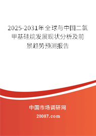 2025-2031年全球与中国二氯甲基硅烷发展现状分析及前景趋势预测报告