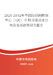2025-2031年中国互联网数据中心（IDC）市场深度调查分析及发展趋势研究报告