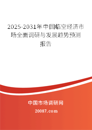 2025-2031年中国临空经济市场全面调研与发展趋势预测报告
