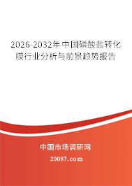 2026-2032年中国磷酸盐转化膜行业分析与前景趋势报告 2026-2032年中国磷酸盐转化膜行业分析与前景趋势报告