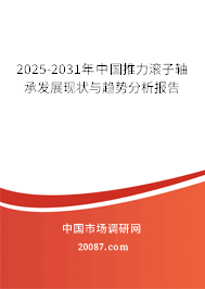 2025-2031年中国推力滚子轴承发展现状与趋势分析报告 2025-2031年中国推力滚子轴承发展现状与趋势分析报告