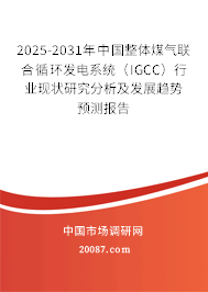 2025-2031年中国整体煤气联合循环发电系统(IGCC)行业现状研究分析及发展趋势预测报告 2025-2031年中国整体煤气联合循环发电系统(IGCC)行业现状研究分析及发展趋势预测报告