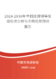 2024-2030年中国支撑绷带发展现状分析与市场前景预测报告 2024-2030年中国支撑绷带发展现状分析与市场前景预测报告