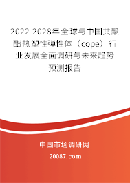 2022-2028年全球与中国共聚酯热塑性弹性体（cope）行业发展全面调研与未来趋势预测报告