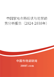 йҵг״ǰƷ棨2023-2029꣩