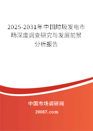 2025-2031年中国垃圾发电市场深度调查研究与发展前景分析报告