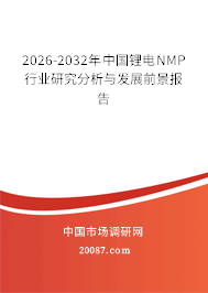 2026-2032年中国锂电NMP行业研究分析与发展前景报告