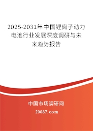 2025-2031年中国锂离子动力电池行业发展深度调研与未来趋势报告