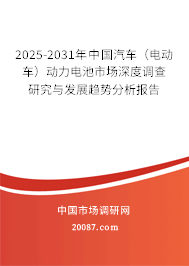 2025-2031年中国汽车(电动车)动力电池市场深度调查研究与发展趋势分析报告 2025-2031年中国汽车(电动车)动力电池市场深度调查研究与发展趋势分析报告