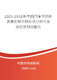 2025-2031年中国汽车零部件表面处理市场现状分析与发展前景预测报告