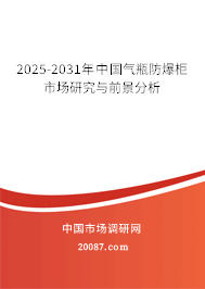 2025-2031年中国气瓶防爆柜市场研究与前景分析