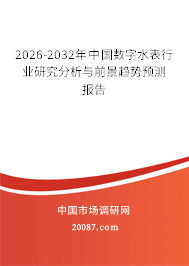 2026-2032年中国数字水表行业研究分析与前景趋势预测报告
