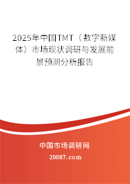 2025年中国TMT（数字新媒体）市场现状调研与发展前景预测分析报告