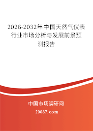 2026-2032年中国天然气仪表行业市场分析与发展前景预测报告