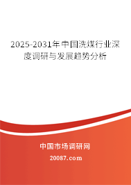2025-2031年中国洗煤行业深度调研与发展趋势分析