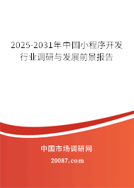 2025-2031年中国小程序开发行业调研与发展前景报告