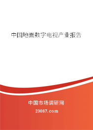 中国地面数字电视产业报告