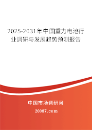 2025-2031年中国重力电池行业调研与发展趋势预测报告