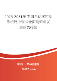 2025-2031年中国自动化控制系统行业现状全面调研与发展趋势报告