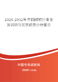 2026-2032年中国磁粒行业发展调研与前景趋势分析报告 2026-2032年中国磁粒行业发展调研与前景趋势分析报告