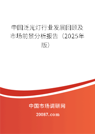 中国泛光灯行业发展回顾及市场前景分析报告（2025年版）