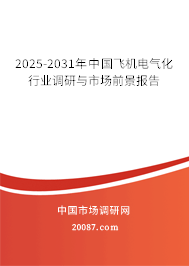 2025-2031年中国飞机电气化行业调研与市场前景报告