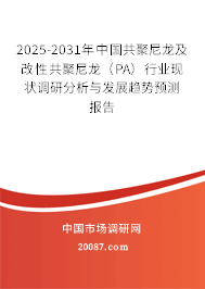 2025-2031年中国共聚尼龙及改性共聚尼龙(PA)行业现状调研分析与发展趋势预测报告 2025-2031年中国共聚尼龙及改性共聚尼龙(PA)行业现状调研分析与发展趋势预测报告