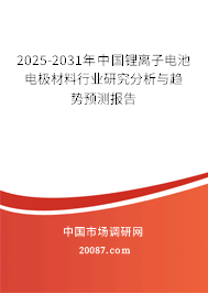 2025-2031年中国锂离子电池电极材料行业研究分析与趋势预测报告