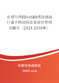 全球与中国NAS网络存储器行业市场调研及发展前景预测报告（2024-2030年）