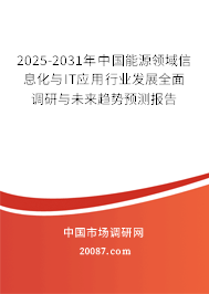 2025-2031年中国能源领域信息化与IT应用行业发展全面调研与未来趋势预测报告