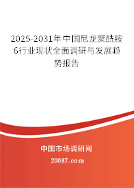 2025-2031年中国尼龙聚酰胺6行业现状全面调研与发展趋势报告 2025-2031年中国尼龙聚酰胺6行业现状全面调研与发展趋势报告