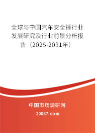 全球与中国汽车安全锤行业发展研究及行业前景分析报告（2025-2031年）