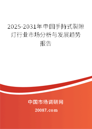 2025-2031年中国手持式裂隙灯行业市场分析与发展趋势报告