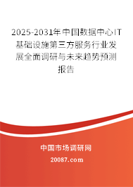 2025-2031年中国数据中心IT基础设施第三方服务行业发展全面调研与未来趋势预测报告