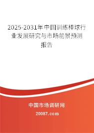 2025-2031年中国训练棒球行业发展研究与市场前景预测报告