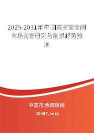 2025-2031年中国真空安全阀市场调查研究与前景趋势预测