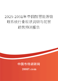 2025-2031年中国智慧能源管理系统行业现状调研与前景趋势预测报告