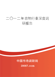 二〇一二年音响行业深度调研报告