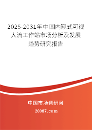 2025-2031年中国内窥式可视人流工作站市场分析及发展趋势研究报告