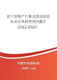 普宁房地产行业深度调研及未来五年趋势预测报告（2012-2016）