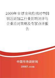 2009年全球金融危机对中国钢压延加工行业影响测评与企业应对策略及专家点评报告
