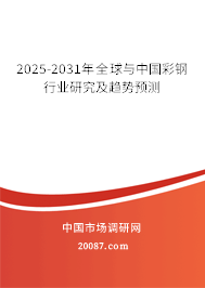2025-2031年全球与中国彩钢行业研究及趋势预测