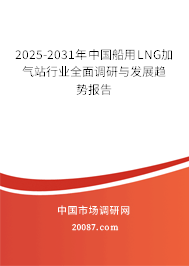 2025-2031年中国船用LNG加气站行业全面调研与发展趋势报告