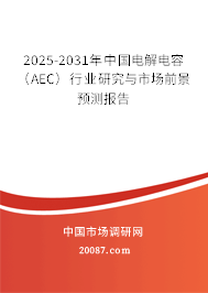 2025-2031年中国电解电容(AEC)行业研究与市场前景预测报告 2025-2031年中国电解电容(AEC)行业研究与市场前景预测报告