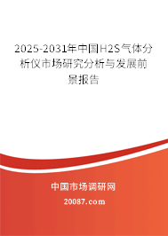2025-2031年中国H2S气体分析仪市场研究分析与发展前景报告